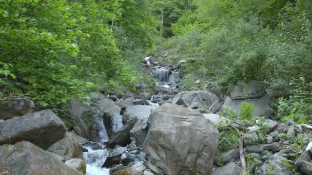 Água Flui Torno Pedras Riacho Nas Montanhas Suíça — Vídeo de Stock