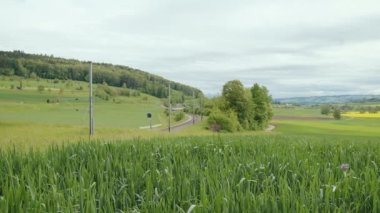 Bölgesel tren geçiyor. İsviçre treni. Canton Zürih, İsviçre