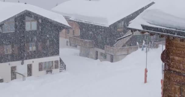 Śnieg Pada Płatki Śniegu Zimie Gałęzie Jodły Pokryte Śniegiem Zbliżenie — Wideo stockowe