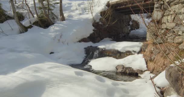 小河在山上融化着雪清澈的山溪流过桥下 — 图库视频影像