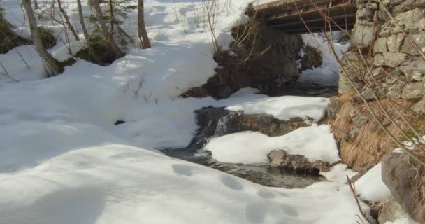 Kleiner Bach Den Bergen Schmelzender Schnee Klarwasser Gebirgsbach Unter Der — Stockvideo