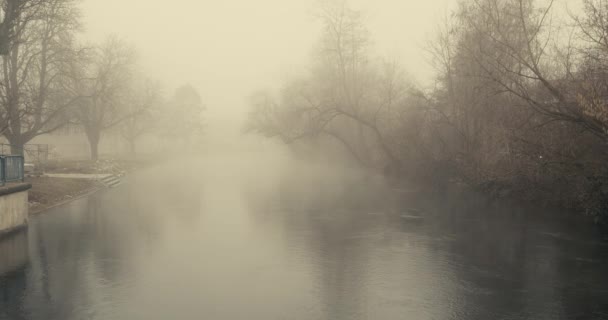 Acqua Fiume Appannata Sagome Scure Alberi Vecchi Che Crescono Rive — Video Stock