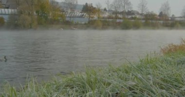 Nehirde sabah sisi. Nehrin üstünde sis var. Nehrin üstünde sis var. Limmat nehri. Zürih.
