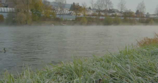 Poranna Mgła Rzece Mgła Nad Rzeką Mgła Nad Rzeką Rzeka — Wideo stockowe