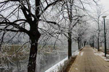 Gezinti güvertesinin yanındaki ağaçlar. Ağaçların dallarında don var. Sokak lambaları gözenekli gezinti güvertesi. Ağaçların ve gezinti alanlarının yanında Miljacka nehri var. Saraybosna 'da kış. Bosna-Hersek.