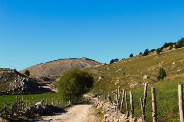 Yol dikenli tellerle birbirine bağlı tahta sütunlarla çevrili. Eski Bosna köyü Lukomir 'e giden dağ yolu. Bjelasnica Dağı, Bosna-Hersek.