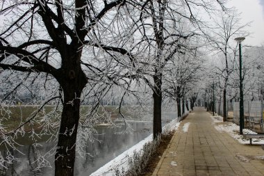Gezinti güvertesinin yanındaki ağaçlar. Ağaçların dallarında don var. Sokak lambaları gözenekli gezinti güvertesi. Ağaçların ve gezinti alanlarının yanında Miljacka nehri var. Saraybosna 'da kış. Bosna-Hersek.