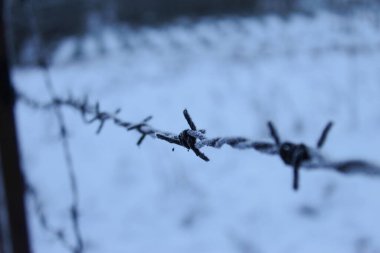 Buz tutmuş aşınmış dikenli bir tel. Arka planda kar var. Dikenli tellerde buz.