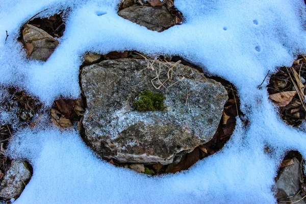 Moos Auf Dem Stein Schnee Den Stein Trockene Blätter Unter — Stockfoto