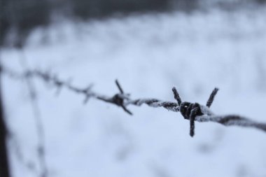 Buz tutmuş aşınmış dikenli bir tel. Arka planda kar var. Dikenli tellerde buz.