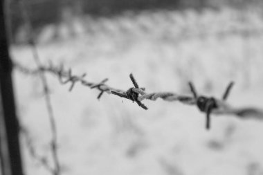 Buz tutmuş aşınmış dikenli bir tel. Arka planda kar var. Dikenli tellerde buz.