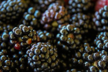 Böğürtlen Olgun böğürtlen. Blackberry arkaplanı.