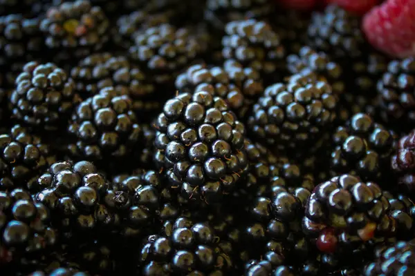 Aardbeien Rijp Bramen Blackberry Achtergrond Groenten Fruit — Stockfoto