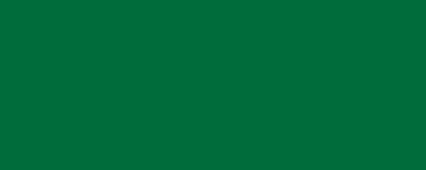 Banner. Cadmium green. Solid color. Background. Plain color background. Empty space background. Copy space.