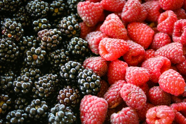 新鲜的黑莓和覆盆子黑莓和覆盆子黑莓和覆盆子很接近宏观甜新鲜成熟的浆果混合 食品背景 — 图库照片