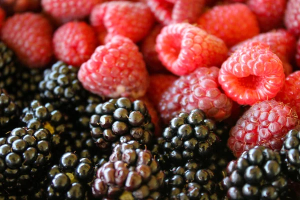 黑莓近点 树莓背景模糊 黑莓和覆盆子黑莓果 — 图库照片