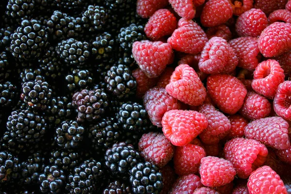 Lamponi More Lamponi Contro More Lampone Blackberry Mescolare Bacche Frutta — Foto Stock