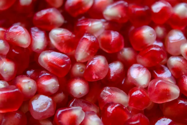 Pomegranate Seeds Macro Close Red Pomegranate Seeds — Stock Photo, Image