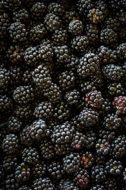 Böğürtlen Olgun böğürtlen. Blackberry arkaplanı.