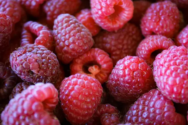 Raspberries Raspberry Background Ripe Raspberries — Stock Photo, Image