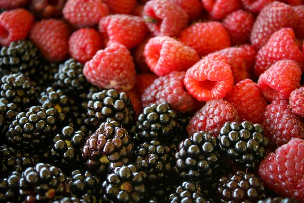 Frambuesas Moras Negro Rojo Frambuesas Moras Frambuesa Blackberry Frutas —  Fotos de Stock