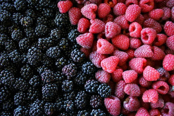 Lamponi More Lamponi Contro More Lampone Blackberry Mescolare Bacche Frutta — Foto Stock