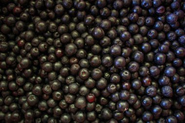Yaban mersini. Aronia çilekleri. Boğaz üzümü, aronya arkaplan meyvesi. Meyveler. Çilek. Taze toplanmış meyveler. Aronia melanocarpa ya da böğürtlen arkaplanı. Kapatın. Makro.