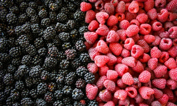 Verse Bramen Frambozen Achtergrond Met Rijpe Bessen Braambessen Frambozen Berry — Stockfoto