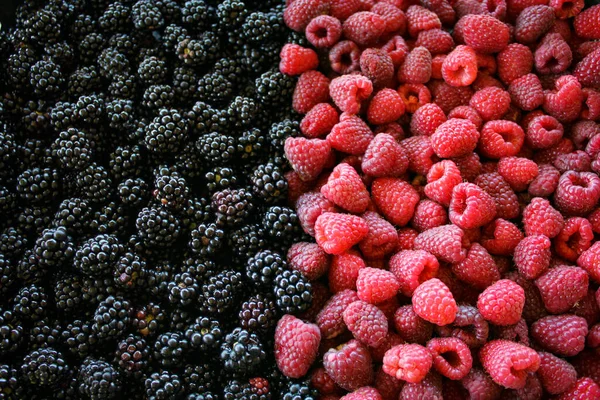 Lamponi More Lamponi Contro More Lampone Blackberry Mescolare Bacche Frutta — Foto Stock