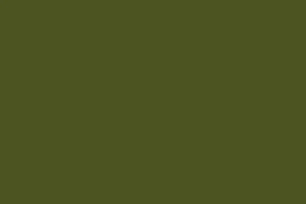 Armeija Vihreä Tasainen Väri Taustaa Pelkkä Väri Tausta Tyhjä Avaruustausta — kuvapankkivalokuva