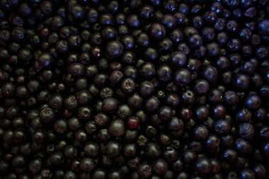 Yaban mersini. Aronia çilekleri. Boğaz üzümü, aronya arkaplan meyvesi. Meyveler. Çilek. Taze toplanmış meyveler. Aronia melanocarpa ya da böğürtlen arkaplanı. Kapatın. Makro.