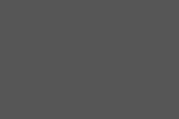 Davy\'s grey. Solid color. Background. Plain color background. Empty space background. Copy space.