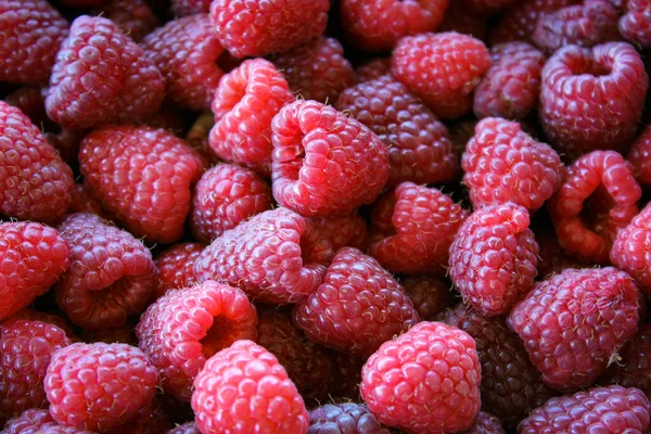 Raspberries Raspberry Background Ripe Raspberries — Stock Photo, Image