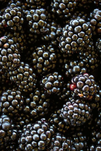 Aardbeien Rijp Bramen Zwarte Bessen Achtergrond — Stockfoto