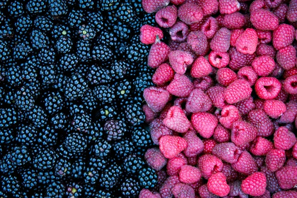 Frambozen Bramen Blauwe Bessen Frambozen Vruchten Voedselachtergrond — Stockfoto