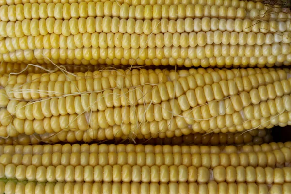 Yellow Cobs Corn Close Macro — Stock Photo, Image