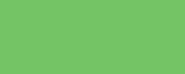 Banner. Mantis. Solid color. Background. Plain color background. Empty space background. Copy space.