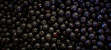 Pankart. Yaban mersini. Aronia çilekleri. Chokeberry, Aronia geçmişi. Çilek. Taze toplanmış meyveler. Aronia melanocarpa ya da böğürtlen arkaplanı. Kapatın. Makro.
