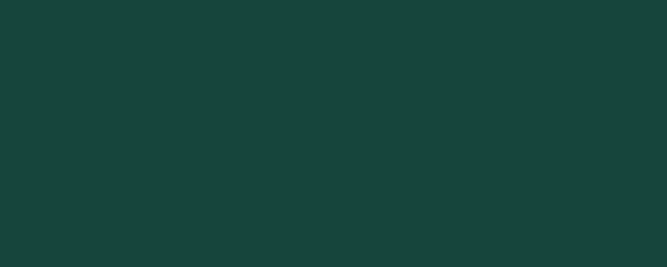 Banner. MSU green. Solid color. Background. Plain color background. Empty space background. Copy space.