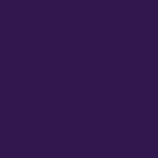 Russian violet. Solid color. Background. Plain color background. Empty space background. Copy space.