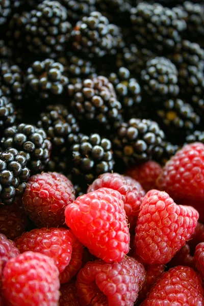 Himbeeren Und Brombeeren Himbeeren Gegen Brombeeren Himbeere Blackberry Beeren Mischen — Stockfoto