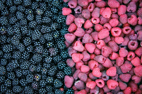 Raspberries and blackberries. Blackberries and raspberries. Fruits. Food background.