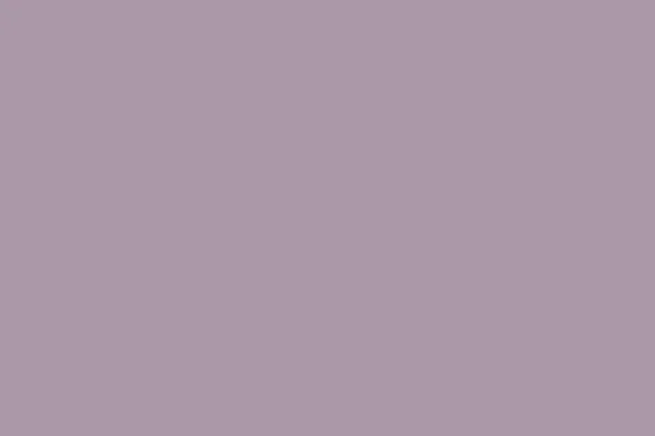 Heliotrope gray. Solid color. Background. Plain color background. Empty space background. Copy space.