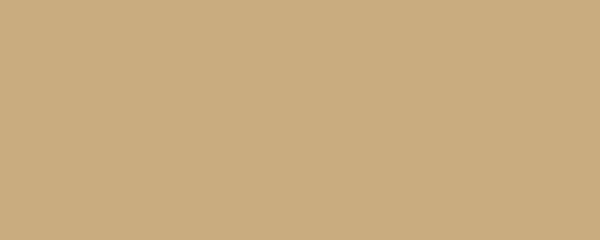 Banner. Light French beige. Solid color. Background. Plain color background. Empty space background. Copy space.