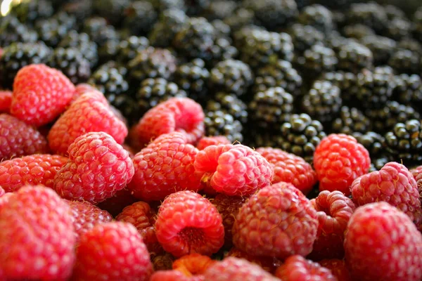 覆盆子和黑莓覆盆子和黑莓覆盆子黑莓 混合浆果 — 图库照片