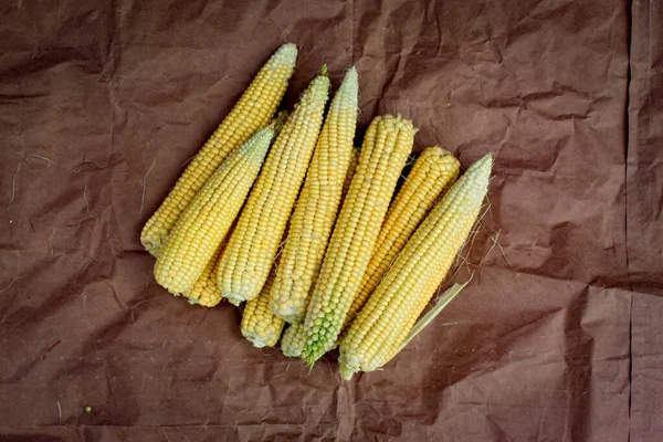 Background Corn Cob Post Harvest Corn Peeled Corn Cob Brown — Stock Photo, Image