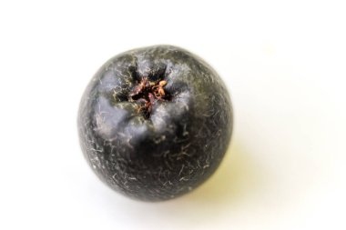 Bir tane böğürtlen yakın çekim. Beyaz arka planda Aronia üzümü. Makro boğuk çilek. Aronia melanocarpa. Meyve boğazlı. Seçici odak.