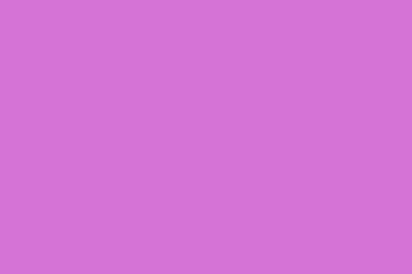 French mauve. Solid color. Background. Plain color background. Empty space background. Copy space.