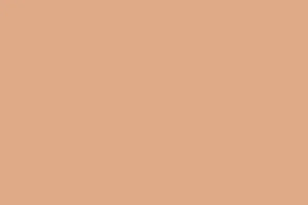 Tumbleweed Color Sólido Antecedentes Fondo Color Liso Fondo Espacio Vacío — Foto de Stock