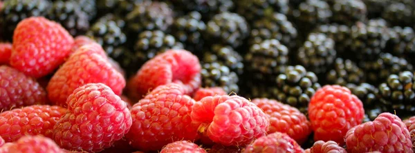 Banner Frambuesas Moras Frambuesas Moras Frambuesa Blackberry Mezclar Bayas Frutas — Foto de Stock